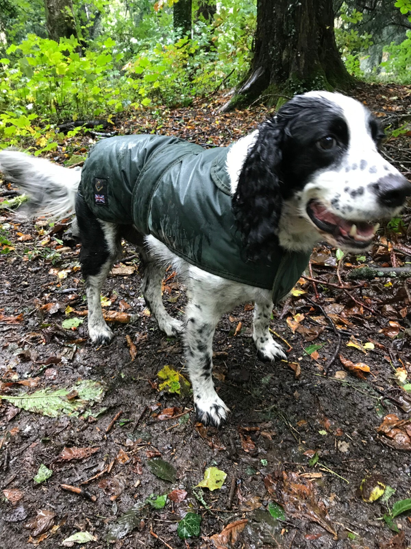 Cotswold Aquarius Quilted Waterproof Dog Jacket with Optional Fleece Lining