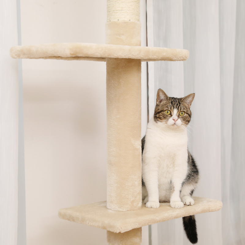 PAWZ Road Cat Tree Tower Condo Scratching Post Scratcher House for Large Cats