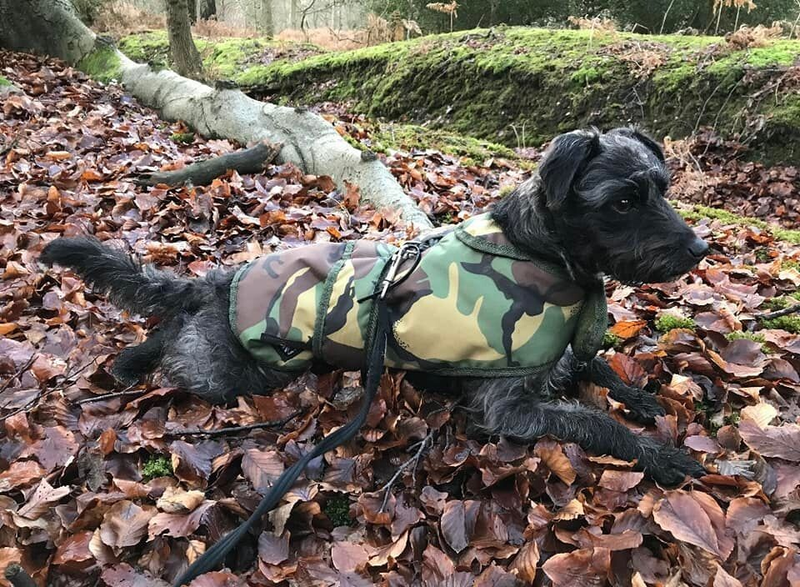 Cotswold Aquarius Quilted Waterproof Dog Jacket with Optional Fleece Lining