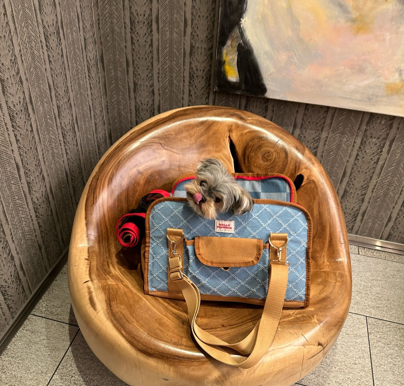 Dog Bag Carrier Fancy Tote Colorful Carry-On Pet Yorkie Waterproof Travel Purse