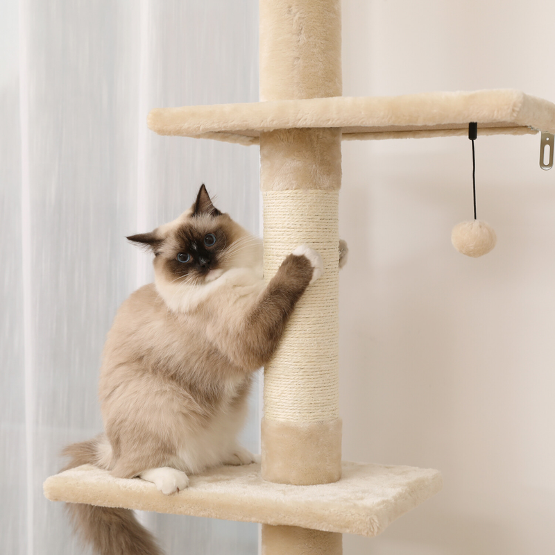 PAWZ Road Cat Tree Tower Condo Scratching Post Scratcher House for Large Cats