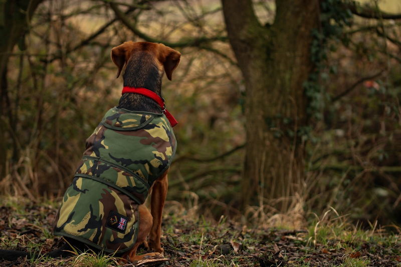 Cotswold Aquarius Quilted Waterproof Dog Jacket with Optional Fleece Lining
