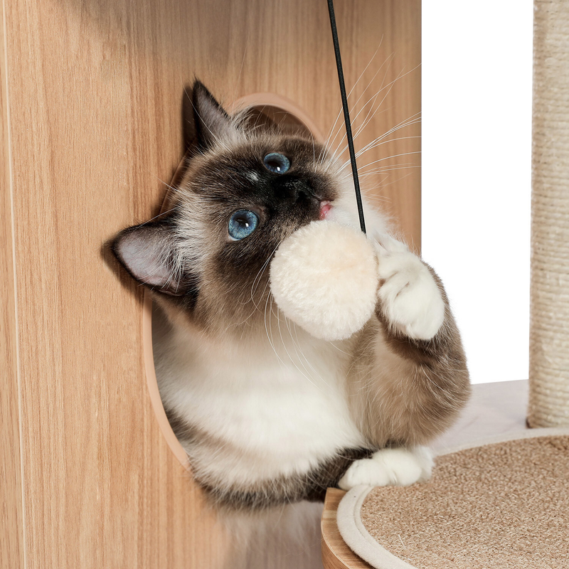 PAWZ Road Cat Tree Tower Condo Scratching Post Scratcher House for Large Cats