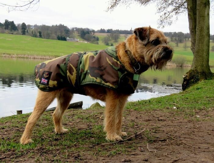Cotswold Aquarius Quilted Waterproof Dog Jacket with Optional Fleece Lining