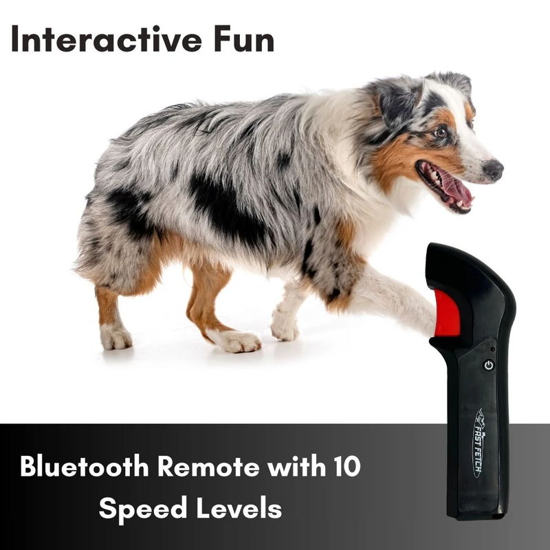 Lure Course for Dogs - Complete Set - Courses up to 300 ft - Batteries Included