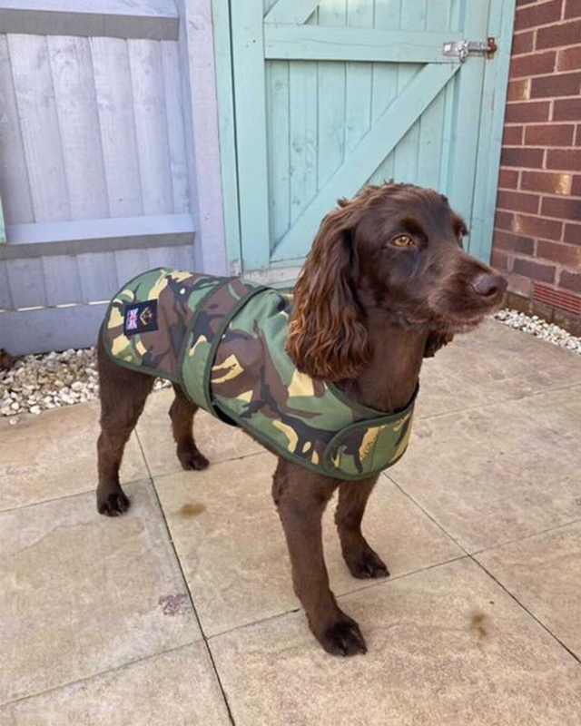 Cotswold Aquarius Quilted Waterproof Dog Jacket with Optional Fleece Lining