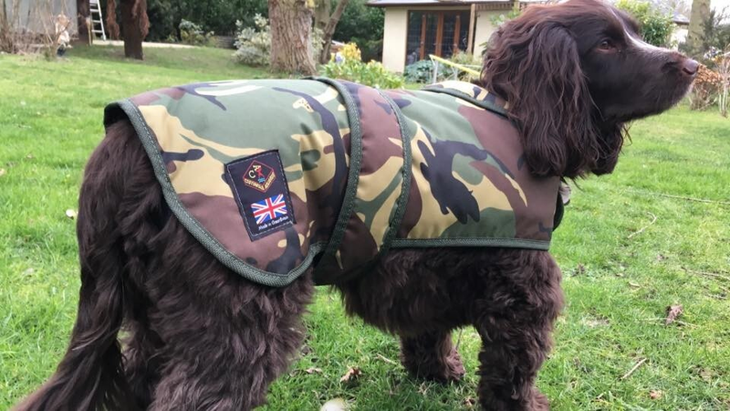 Cotswold Aquarius Quilted Waterproof Dog Jacket with Optional Fleece Lining