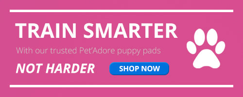 HEAVY DUTY LARGE PUPPY TRAINING PET PADS FLOOR WEE PEE TOILET PAD DOG CAT MATS