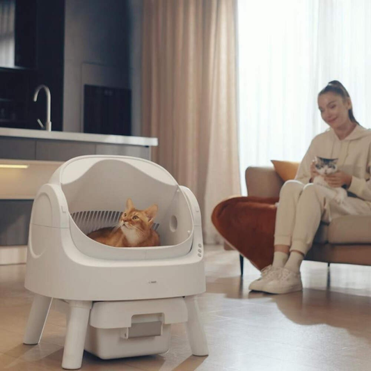 Petpivot Autoscooper 11 Open-Top Self-Cleaning Cat Litter Box with Odor-Free