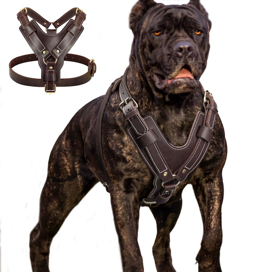 Strong Genuine Leather Dog Harness Adjustable for Large Breeds Pitbull Mastiff