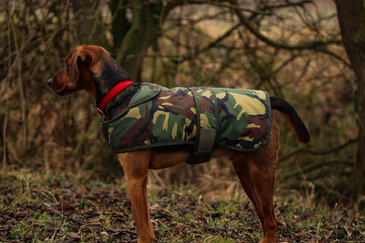 Cotswold Aquarius Quilted Waterproof Dog Jacket with Optional Fleece Lining