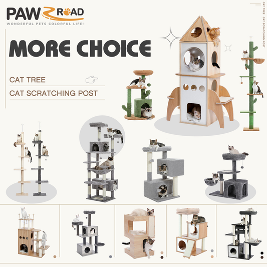 PAWZ Road Cat Tree Tower Condo Scratching Post Scratcher House for Large Cats