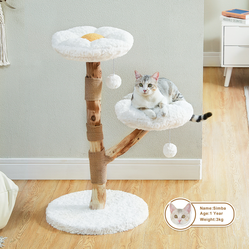 PAWZ Road Wood Flower Cat Tree Scratching Post with Real Branches&2 Perches Toys