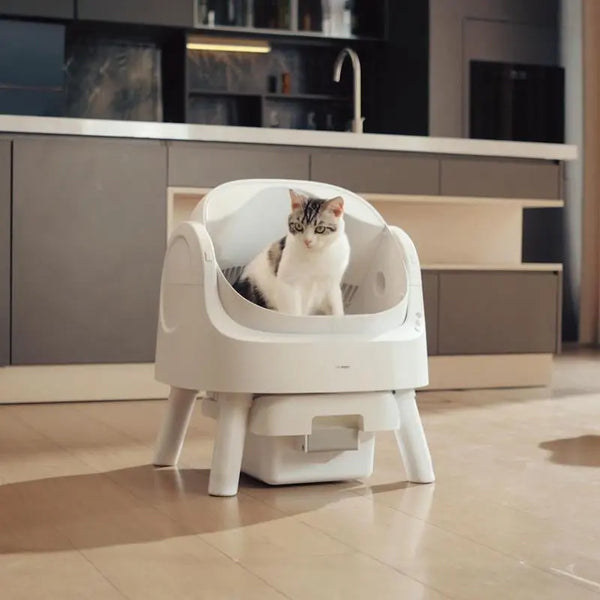 Petpivot Autoscooper 11 Open-Top Self-Cleaning Cat Litter Box with Odor-Free