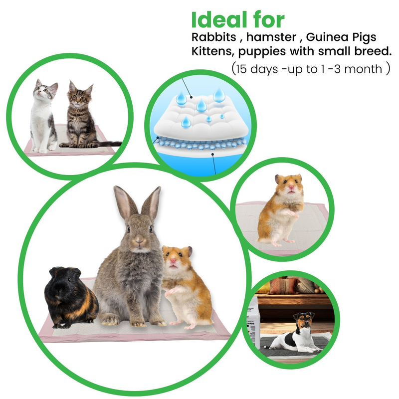 Wee Wee Pee Pads Dog Training Pads Pet Pads Underpads - All Types & Size FPN-LLC