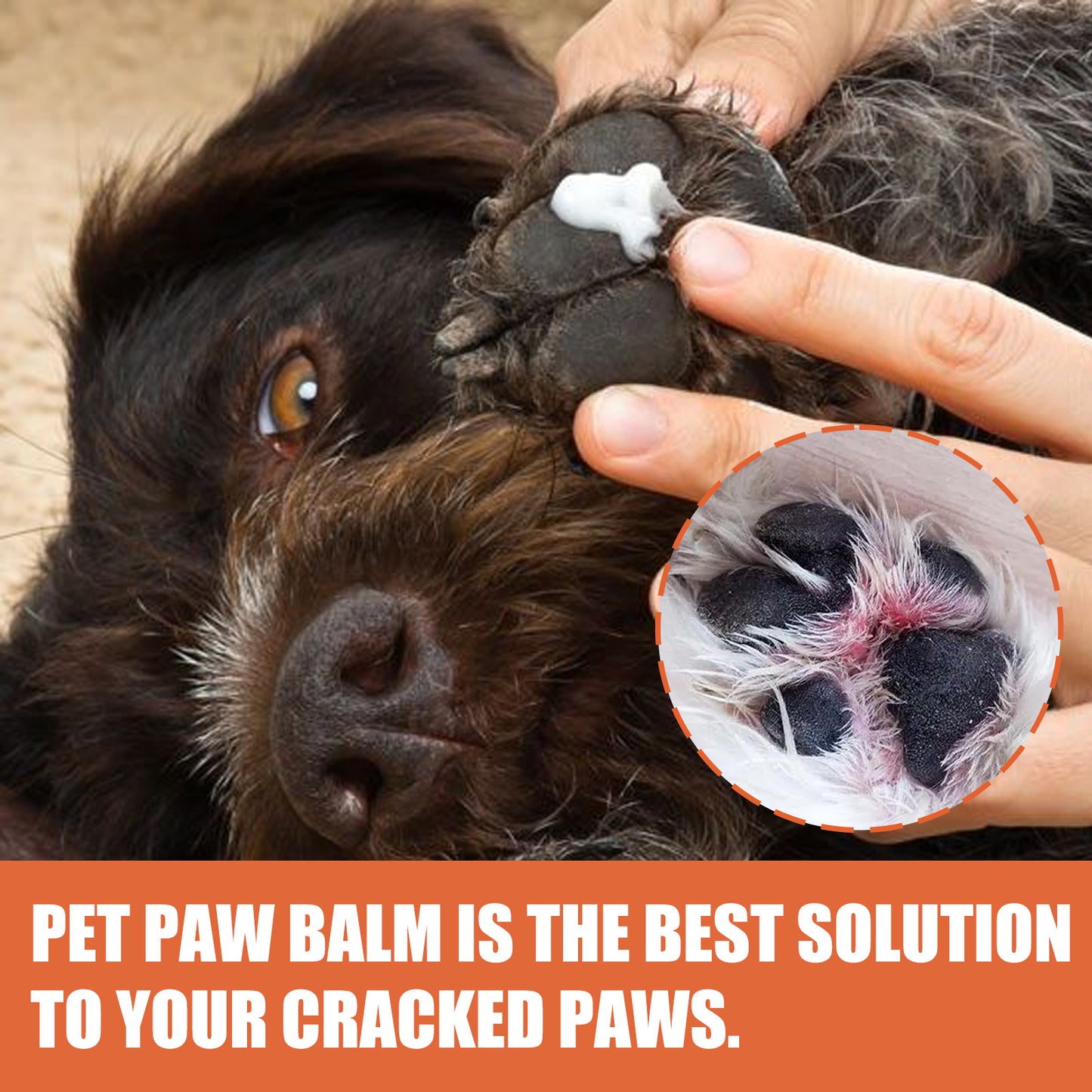 EELHOE Pet Paw Balm Cat and Dog Paw Pads Protective Oil Soothing Moisturizing Nourishing Paw Repair for Dry Cracked Paws